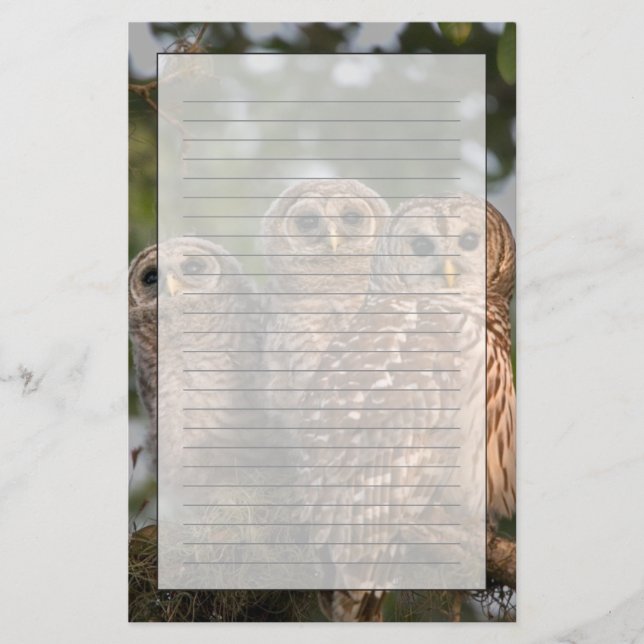 Papelería EE.UU., Florida, Humedales de Viera. Tres barras (Anverso)