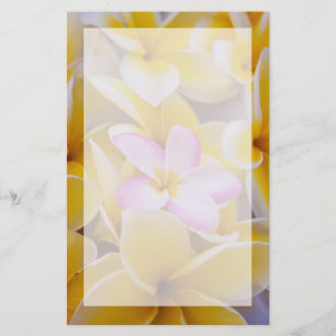 Papelería EE. UU., Hawái, Oahu, Flores de plumeria en flor 1