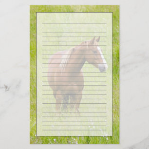 Papelería EE. UU., Washington, Caballo en Campo de Primavera