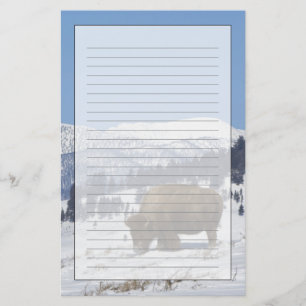 Papelería EE. UU., WY, Parque Nacional Yellowstone, Bisonte