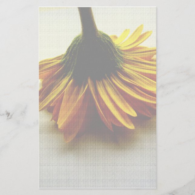 Papelería Efectos de escritorio amarillos de la flor (Anverso)