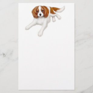 Papelería Efectos de escritorio arrogantes del perro de