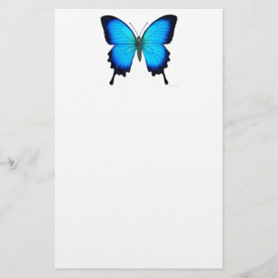 Papelería Efectos de escritorio azules de la mariposa de