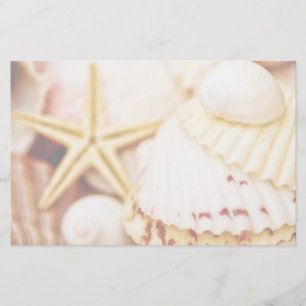 Papelería Efectos de escritorio bonitos de los Seashells