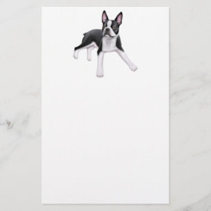Papelería Efectos de escritorio de Boston Terrier