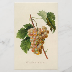 Papelería Efectos de escritorio de Chasselat de