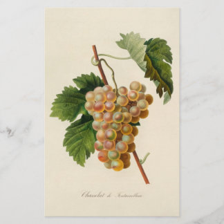 Papelería Efectos de escritorio de Chasselat de