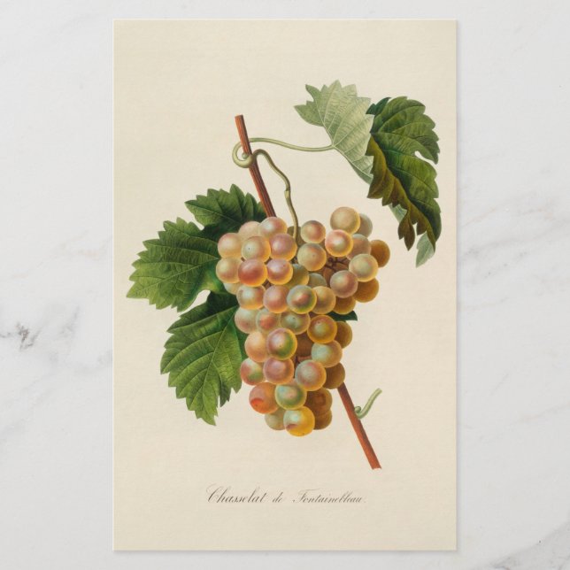 Papelería Efectos de escritorio de Chasselat de (Anverso)