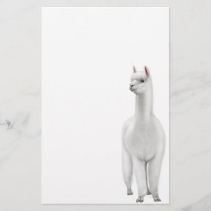 Papelería Efectos de escritorio de la alpaca