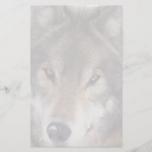 Papelería Efectos de escritorio de la mirada del lobo