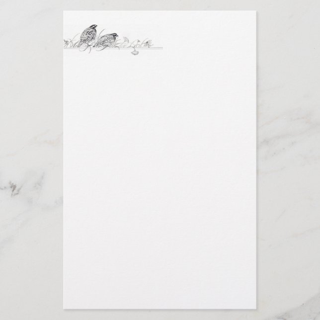 Papelería Efectos de escritorio de las codornices (Anverso)