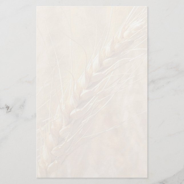 Papelería Efectos de escritorio de oro del personalizado del (Anverso)