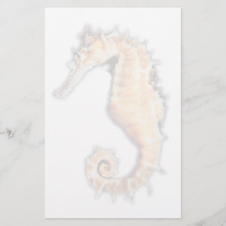 Papelería Efectos de escritorio del caballo de mar