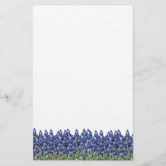 Papelería Efectos de escritorio del campo del Bluebonnet