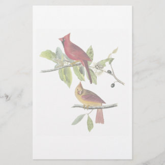 Papelería Efectos de escritorio del cardenal de Audubon