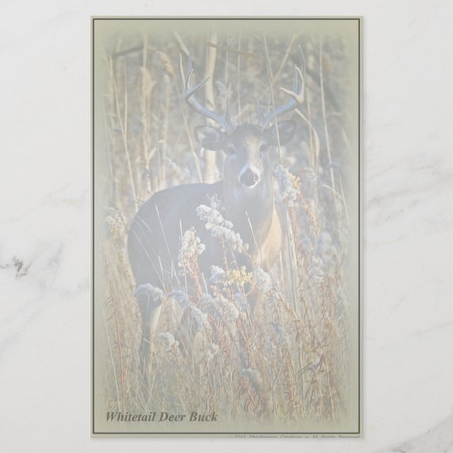 Papelería Efectos de escritorio del dólar del venado de cola (Anverso)