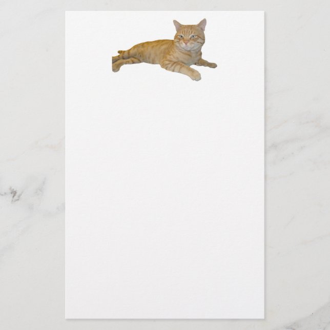 Papelería Efectos de escritorio del gato (Anverso)
