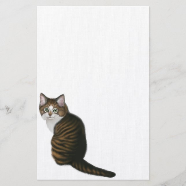 Papelería Efectos de escritorio del gato de Coon de Maine (Anverso)