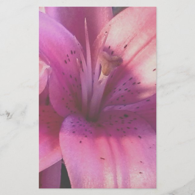 Papelería Efectos de escritorio del lirio (Anverso)