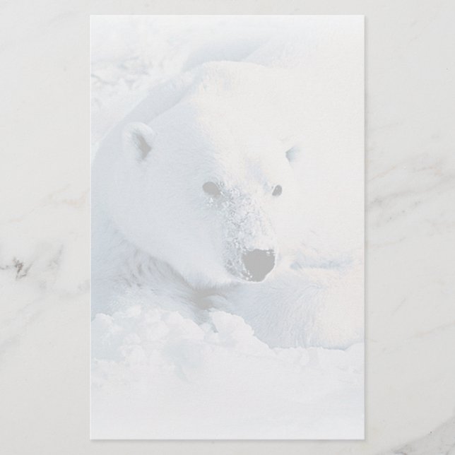 Papelería Efectos de escritorio del oso polar y de la nieve (Anverso)