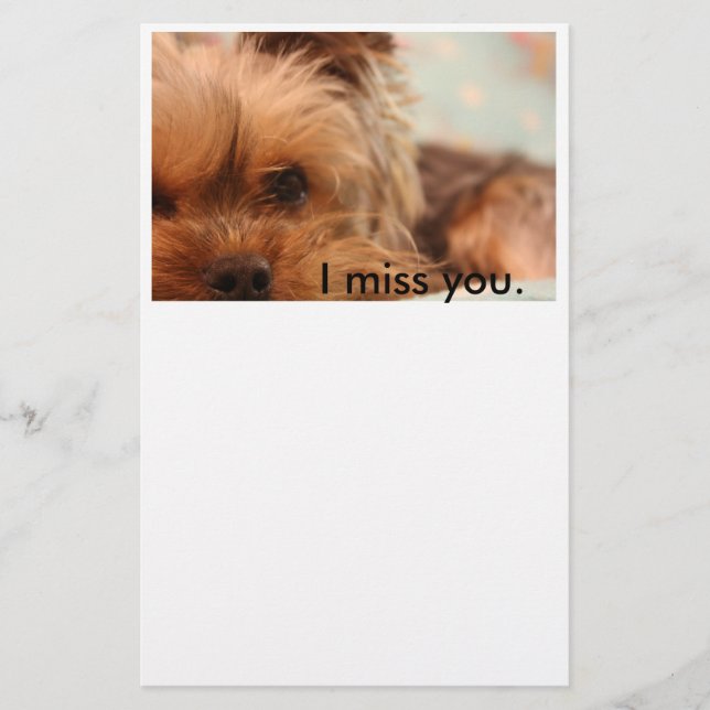 Papelería Efectos de escritorio del perrito de Yorkshire de (Anverso)