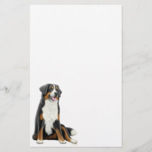 Papelería Efectos de escritorio del perro de montaña de