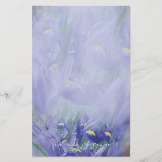 Papelería Efectos de escritorio del ramo del iris (Anverso)