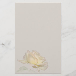 Papelería Efectos de escritorio del rosa amarillo