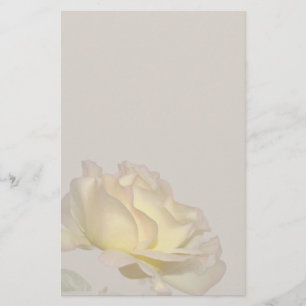Papelería Efectos de escritorio del rosa amarillo