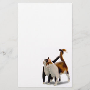 Papelería Efectos de escritorio felinos del gato de los