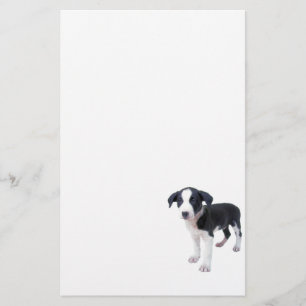 Papelería Efectos de escritorio lindos del perro de perrito