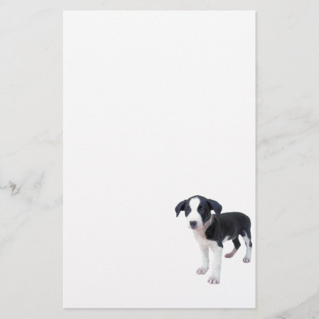 Papelería Efectos de escritorio lindos del perro de perrito (Anverso)