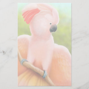Papelería Efectos de escritorio moluqueños del Cockatoo