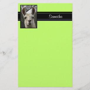 Papelería Efectos de escritorio personalizados llama linda