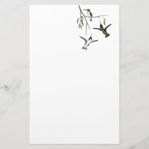Papelería Efectos de escritorio reciclados colibrí