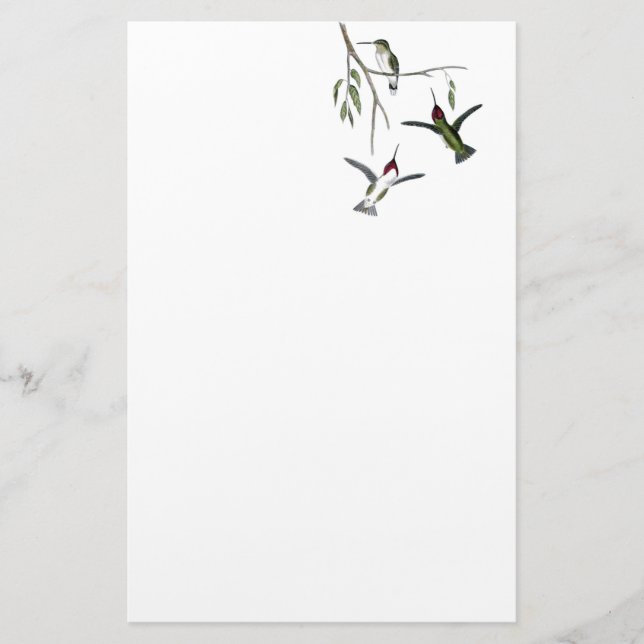 Papelería Efectos de escritorio reciclados colibrí (Anverso)