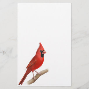 Papelería Efectos de escritorio rojos cardinales del varón