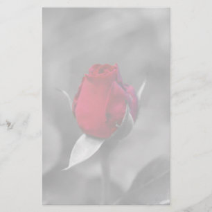 Papelería Efectos de escritorio rojos del capullo de rosa