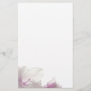 Papelería Efectos de escritorio rosados de la magnolia