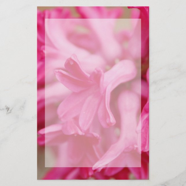 Papelería Efectos de escritorio rosados del jacinto (Anverso)