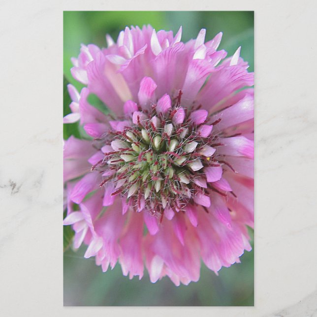 Papelería Einzigartige rosa Blüte (Anverso)