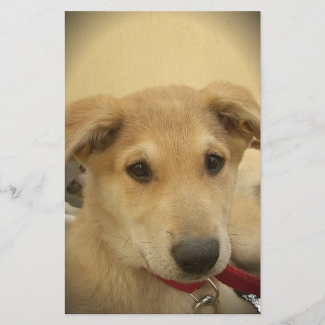 Papelería El amor de las pipas: El mejor amigo del hombre (Anverso)