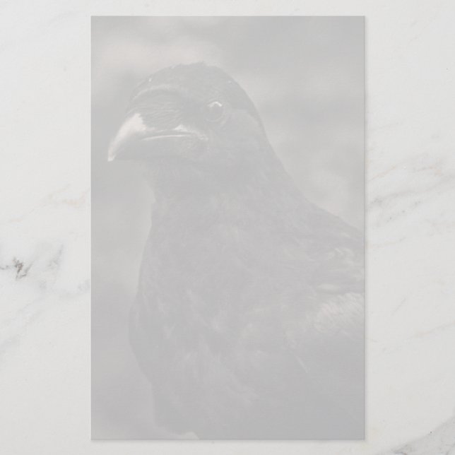 Papelería El Buscador (Anverso)