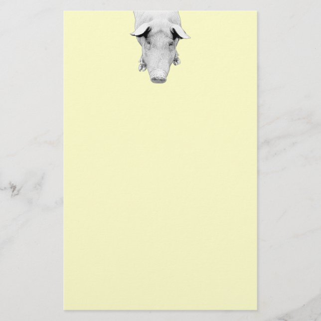 Papelería El cerdo en blanco y negro (Anverso)