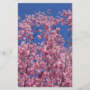 Papelería El cerezo Sakura florece en el azul