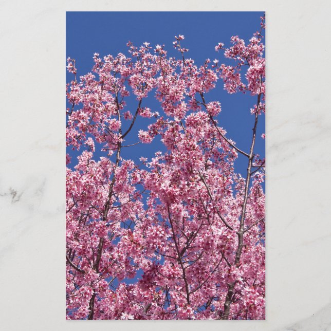 Papelería El cerezo Sakura florece en el azul (Anverso)