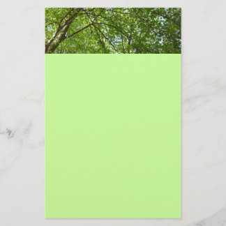 Papelería El dosel de la primavera deja la naturaleza verde