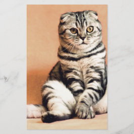 Papelería El Gatito Cute Se Extiende