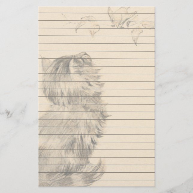 Papelería El gatito que mira los pájaros (Anverso)