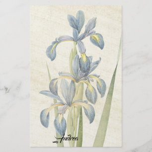 Papelería El iris de Redoute florece los efectos de
